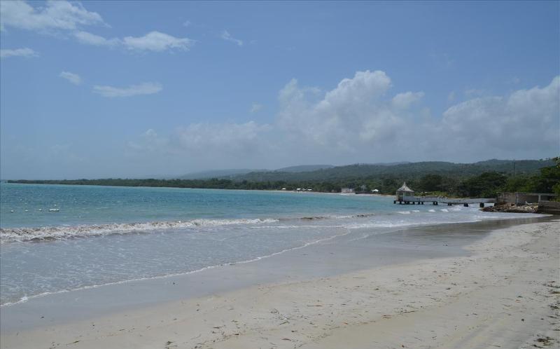 Ocho Rios Under The Palms Villa Eksteriør bilde